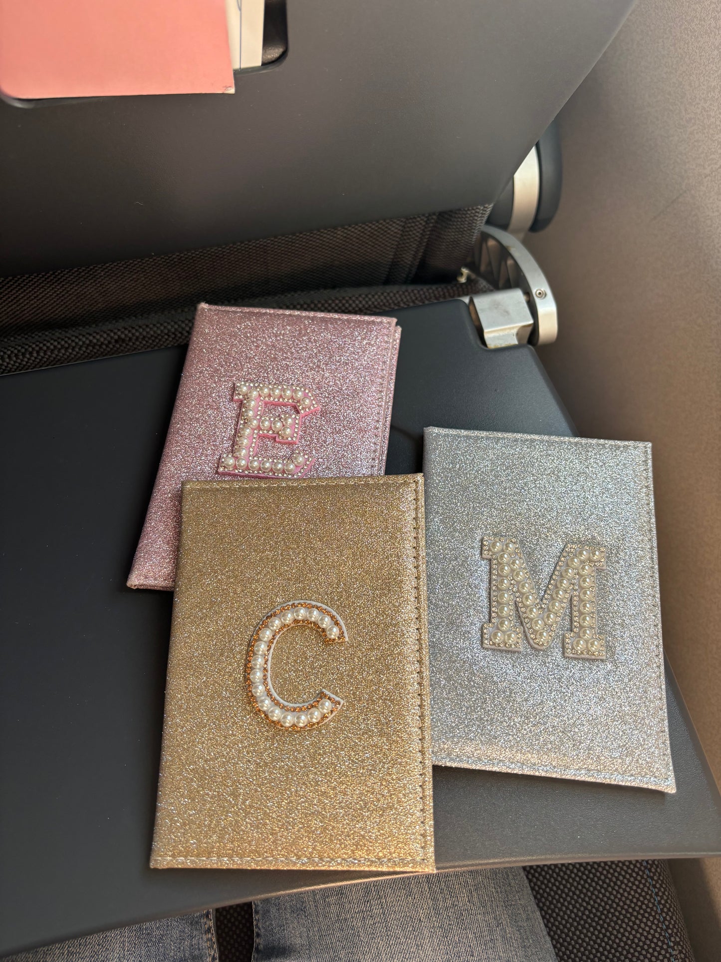 The Eiranel Passport Holder Silver